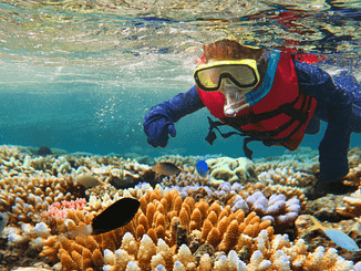 virgin voyages new itineraries include the Great Barrier Reef