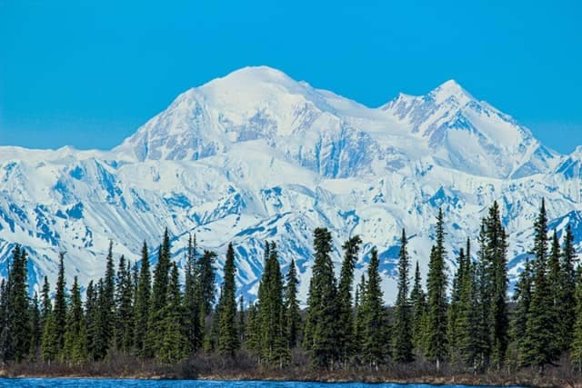 Denali National Park: What You Need To Know